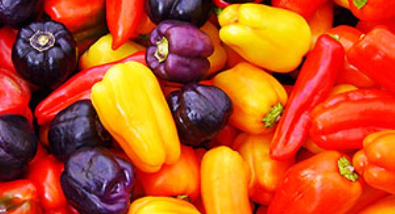 Urusenda rufite akamaro gakomeye mu buzima bwa buri munsi bwa muntu – Menya byinshi kuri rwo