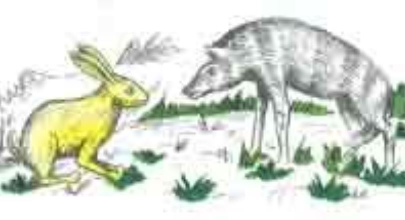 Umugani wa Bakame n’impyisi