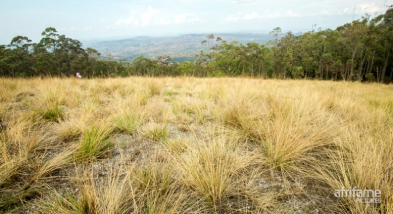 DUTEMBERE: Mu bisi bya Huye no kwa Nyagakecuru wari uhatuye yarigometse ku mwami - AMAFOTO