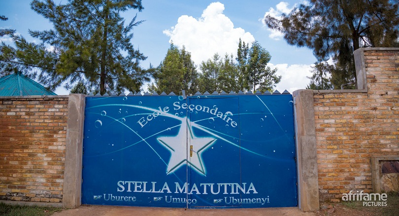 Stella Matutina Shyorongi