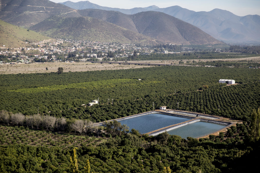 Chile: Inyungu z'ubuhinzi bw' avoka zashyizwe imbere y'imibereho ya rubanda