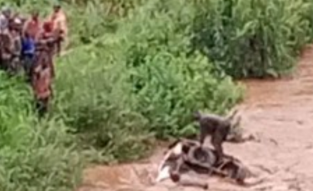 Burundi Abantu Batatu Bapfuye Bazize Impanuka Y Ikamyo Yarohamy