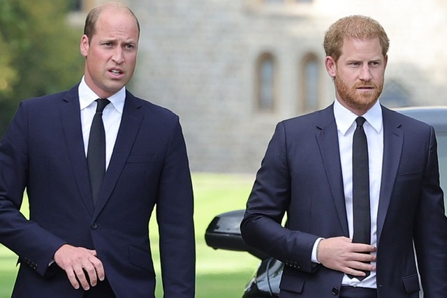 Prince William yasabye abantu kutizera ibyo umuvandimwe we Harry avuga