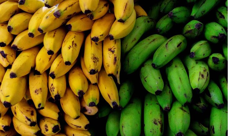 Byinshi wamenya ku mineke n'igitoki bikungahaye ku ntungamubiri
