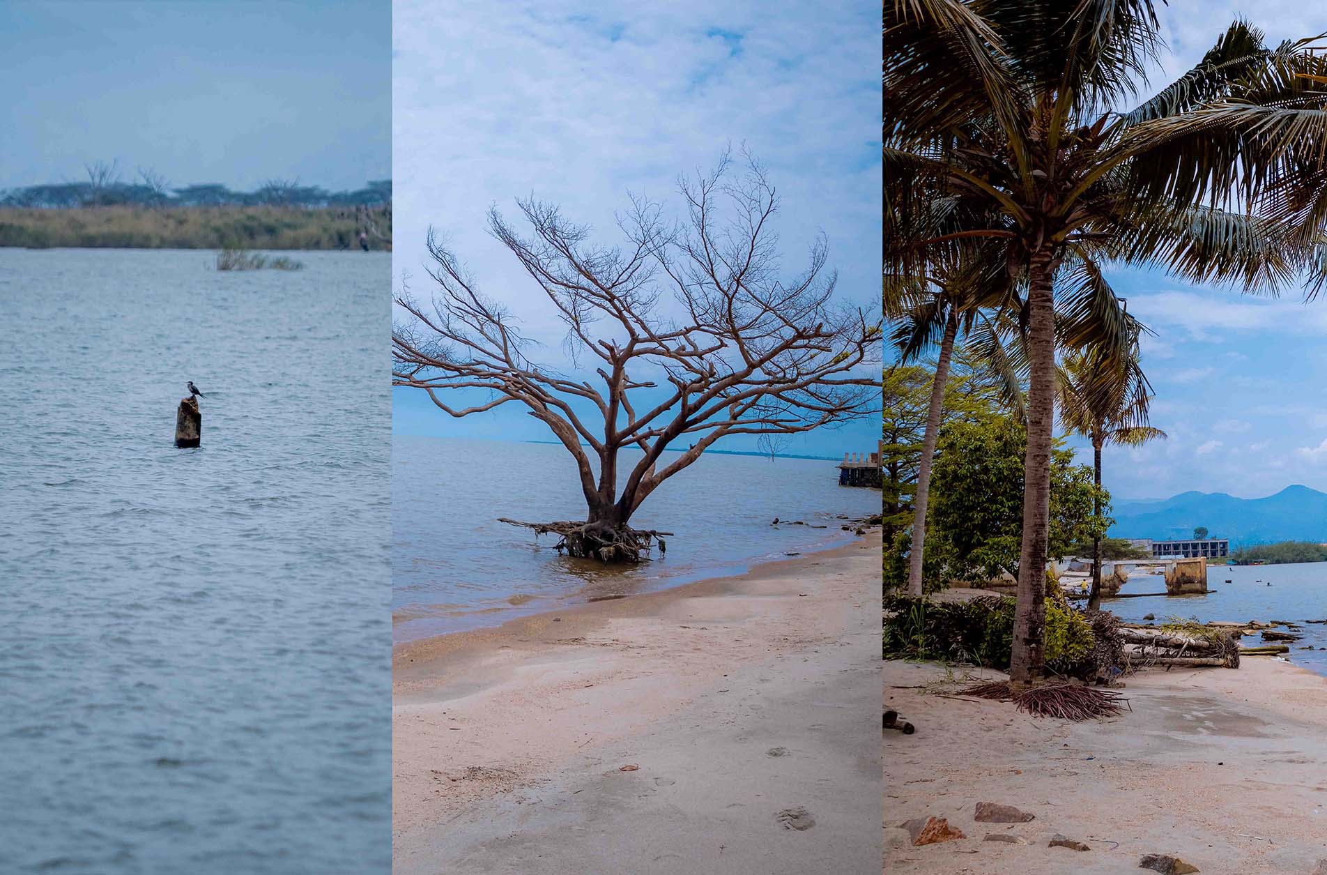 Irebere ikiyaga cya Tanganyika gikora kuri Bujumbura–AMAFOTO