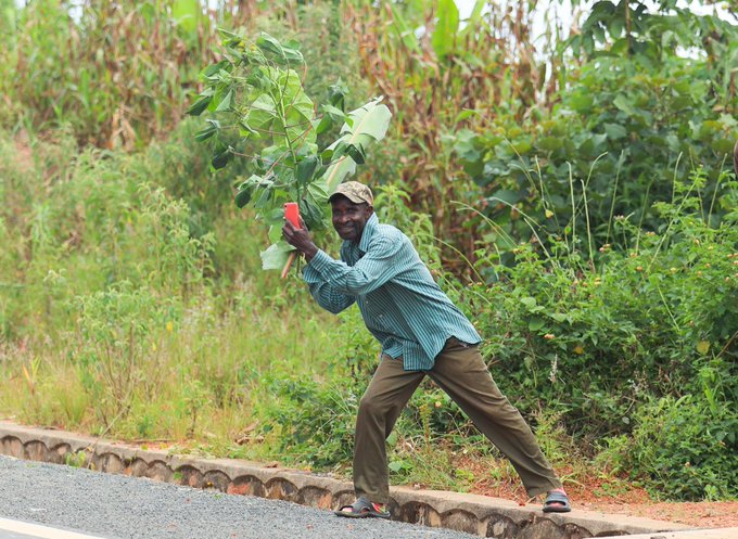  Ifoto y'umunsi: Umusaza yahuje isombe, ikinyomoro n'urukoma afana igare